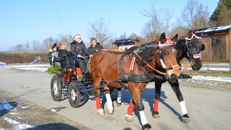 Weihnachtliche Kutschenfahrt, © RMH