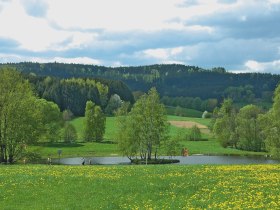 Naturbadeteich bei der Holzmühle, © Waldviertel Tourismus