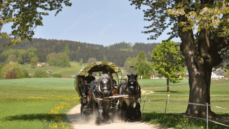 Gasthaus & Ponyhof Holzmühle, © Birgit Taxböck